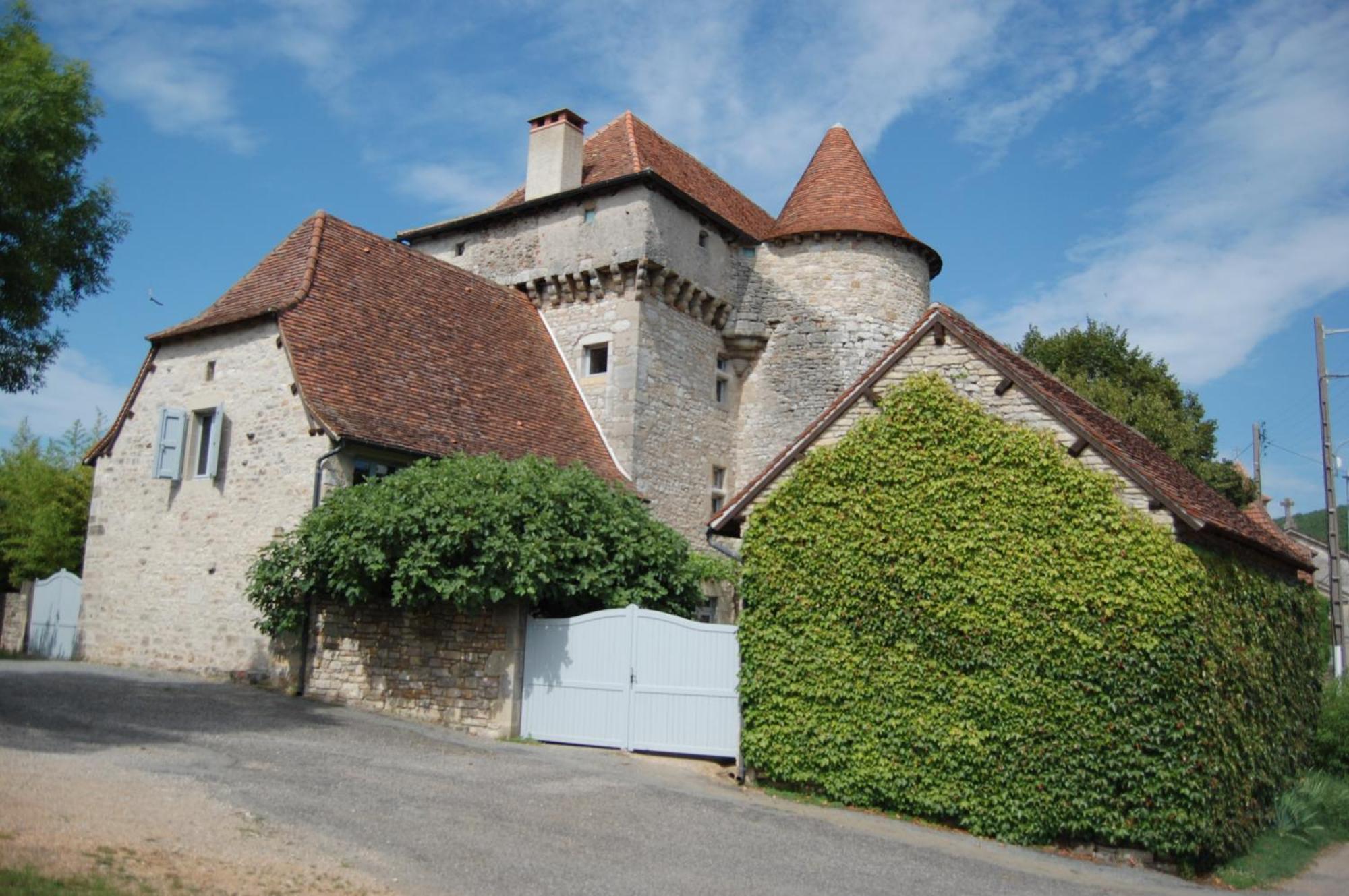 Chateau De Camboulan Bed and Breakfast Ambeyrac Buitenkant foto