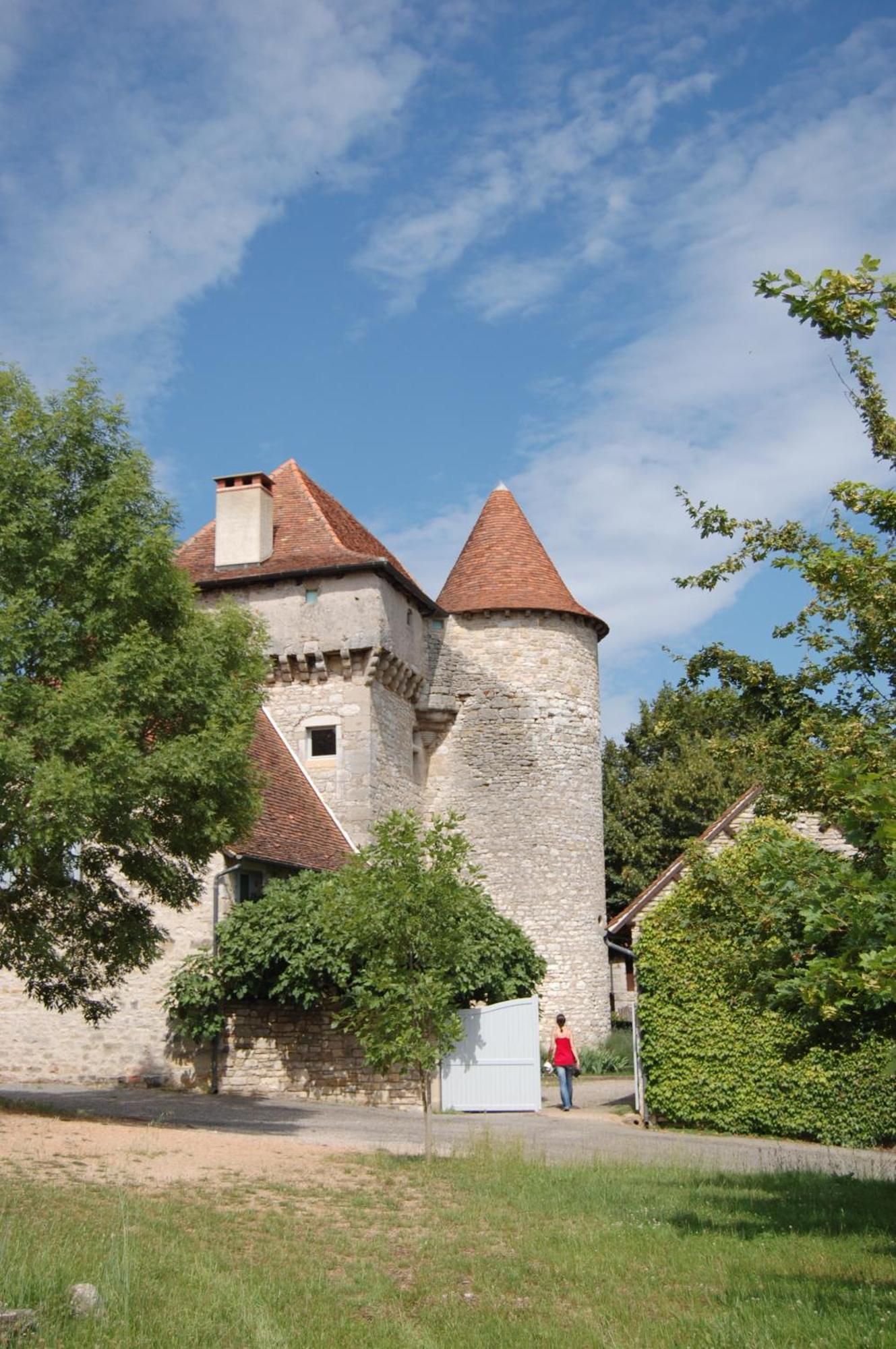 Chateau De Camboulan Bed and Breakfast Ambeyrac Buitenkant foto